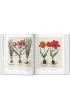 Basilius Besler. Florilegium. The Book of Plants wer. angielska