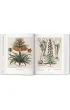 Basilius Besler. Florilegium. The Book of Plants wer. angielska