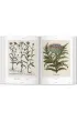 Basilius Besler. Florilegium. The Book of Plants wer. angielska