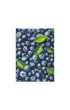 Puzzle Hard-S 350 el. Botanika. Pi�kna jagody Dodo