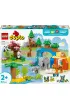 LEGO DUPLO Town Rodziny dzikich zwierz�t 3 w 1 10446