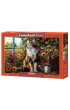Puzzle 1000 el. Blooming Cat Meditation Castorland