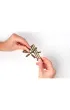 The Alchemist Puzzles: Brass �amig��wka Recent Toy Recent Toys
