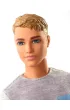Barbie Dreamhouse Adventures Ken w podr�y FWV15 Mattel