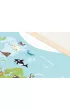 Tablica edukacyjna Animal adventure! 60x40 cm
