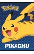 St. Majewski Zeszyt A5 ok�adka laminowana 70g/m2 Pokemon krata 32 kartki