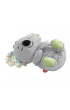 Fisher Price FP Koala Usypianka-Przytulanka Oddychaj�cy uspokajacz GRT59