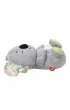 Fisher Price FP Koala Usypianka-Przytulanka Oddychaj�cy uspokajacz GRT59