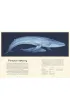 Oceanarium. Muzeum Oceanu