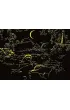 Puzzle 500 el. �wiec�ce w ciemno�ci - Magiczny �wiat Ravensburger