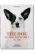 The Dog in Photography 1839-Today wer. angielska