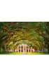 Puzzle 1000 el. Plantacja oak alley Castorland
