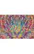 Puzzle 2000 el. Tygrys G3