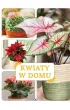 Kwiaty w domu