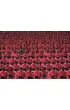 Puzzle 1000 el. Compact Netflix Squid Game Clementoni