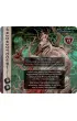 Cthulhu. Death May Die. Yog-Sothoth Portal Games