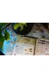 Robinson Crusoe. Ksi�ga Przyg�d