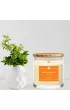 Big Nature wieca sojowa zapachowa Pomaracza 150 g