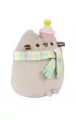 Pusheen w szaliku