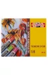 Koh-I-Noor Pastele Toison D'or 8513 18 szt.