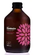 Vigo Yoko Kombucha z mango i marakuj� bezglutenowa Zestaw 8 x 330 ml Bio