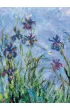 Puzzle 1000 el. Irises by Monet. Detail Eurographics