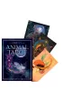 Oriens Animal Tarot, karty do wr�enia