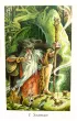 Tarot Pradawnego Lasu. Zestaw karty + ksi��ka