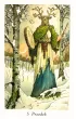 Tarot Pradawnego Lasu. Zestaw karty + ksi��ka