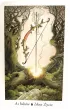 Tarot Pradawnego Lasu. Zestaw karty + ksi��ka