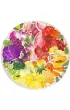 Puzzle 500 el. 2D Paleta kolor�w Owoce i warzywa 17169 Ravensburger
