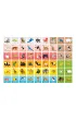 CzuCzu. Memory. Zwierz�ta �wiata Bright Junior Media