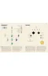Ancient Rome. Infographics