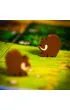 Kingdomino. Prehistoria FoxGames