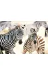 Puzzle 1000 el. Young Zebras Castorland