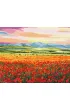 Brushme Malowanie po numerach - Zach�d S�o�ca nad Polem Kwiat�w 40x50cm
