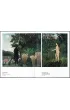 Henri Rousseau. Malarstwo �wiatowe