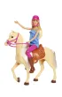 Barbie Lalka+ko� podstawowy FXH13 Mattel