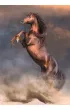 Puzzle 500 el. HQ Wild Red Stallion Clementoni