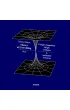 Theory of Everything. Complex Singularity Origin..