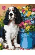 Ideyka Malowanie po numerach - Uroczy spaniel 30x40cm