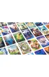 Dixit Disney