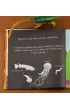 Dinozaury. Pod�wietl i Odkryj