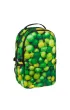 Starpak Plecak szkolny Lime