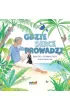 Gdzie serce prowadzi