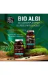 Diet-Food Chlorella 400 Mg suplement diety 375 tab. Bio