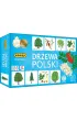 Memory Drzewa Polski Adamigo