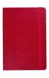Antra Notes A5 Formalizm linia