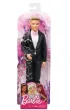 Barbie. Pan M�ody Mattel