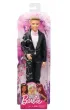 Barbie. Pan M�ody Mattel